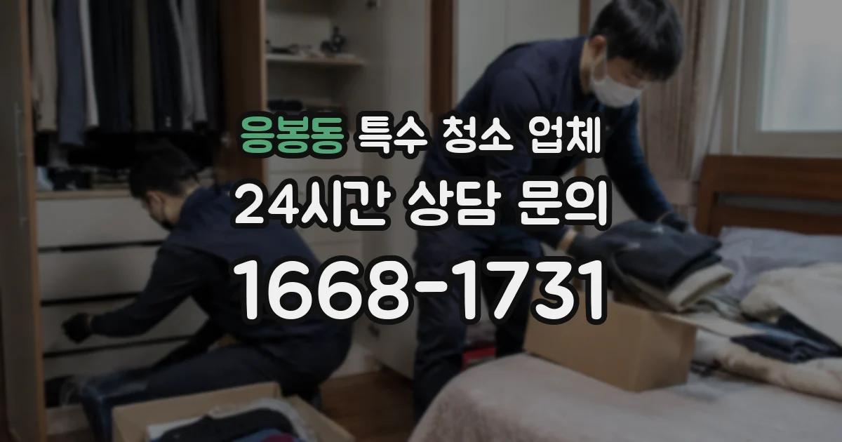 응봉동 특수 청소 업체
