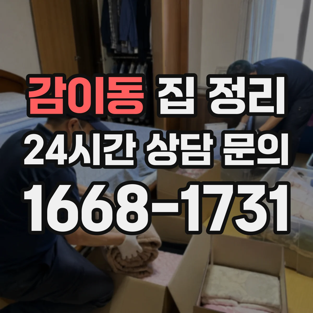 감이동 집 정리