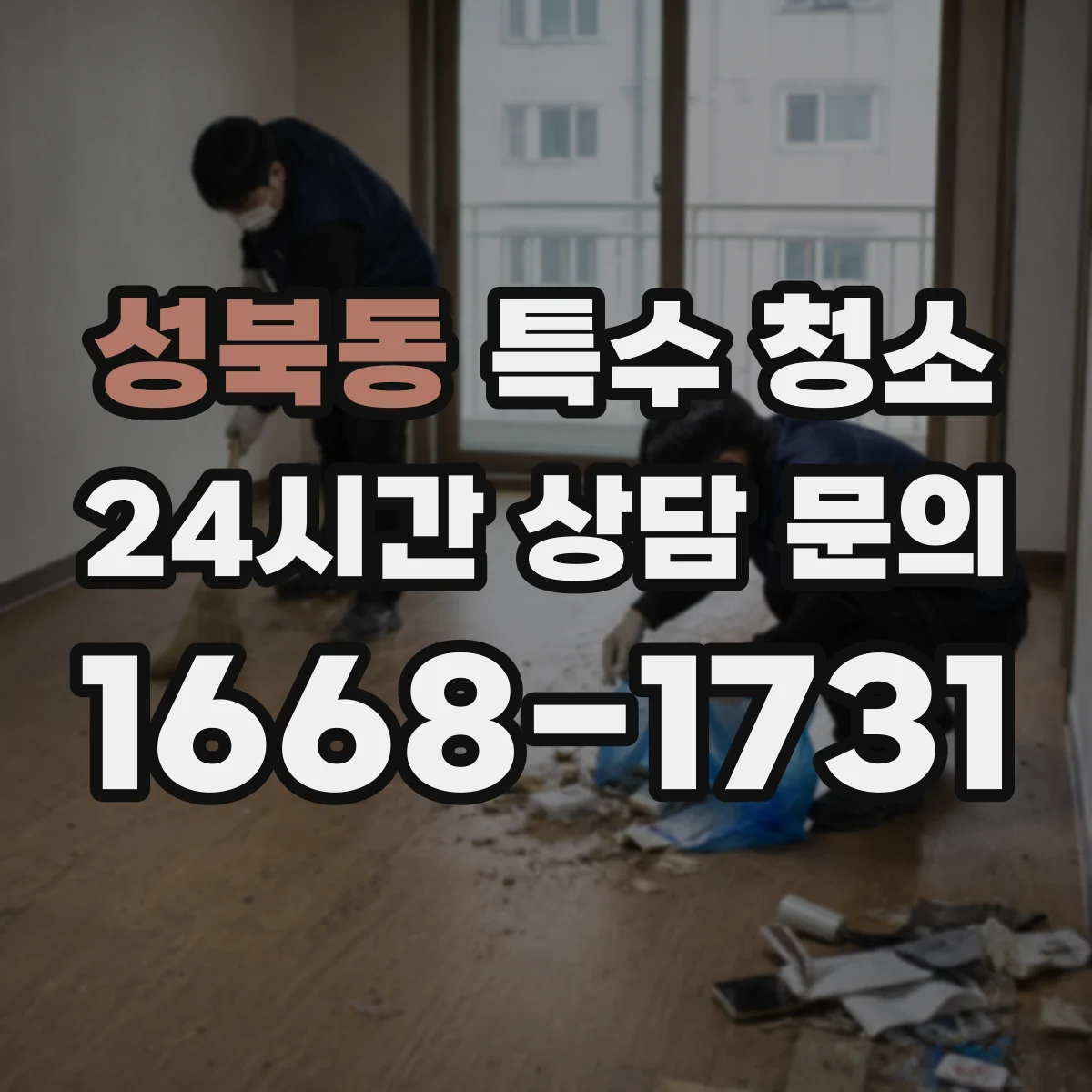 성북동 특수 청소