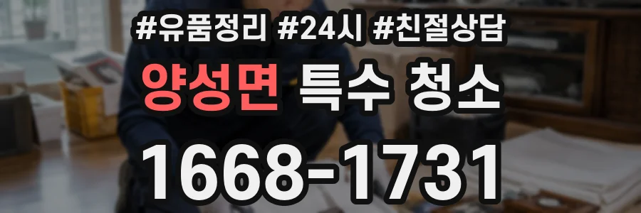 양성면 특수 청소