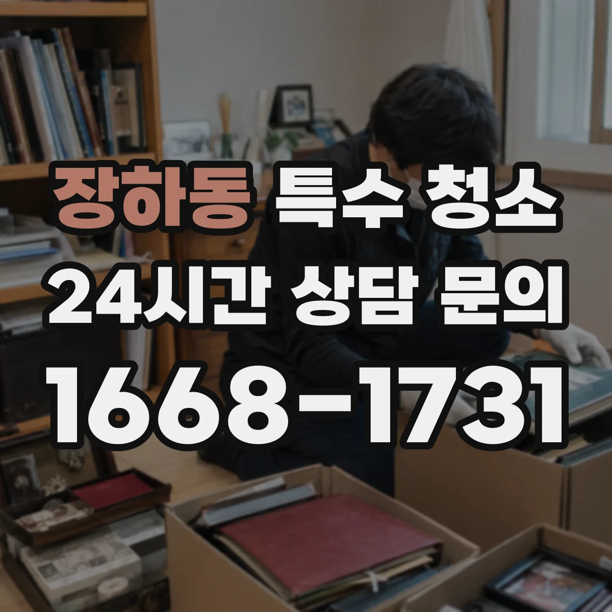장하동 특수 청소