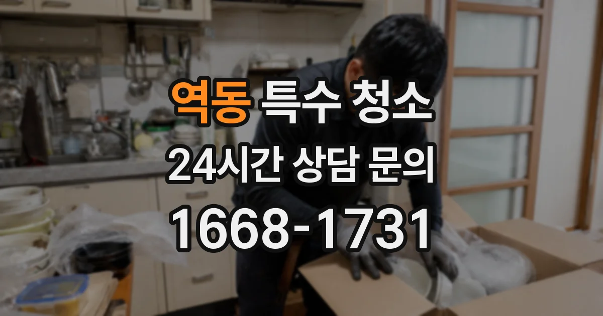 역동 특수 청소