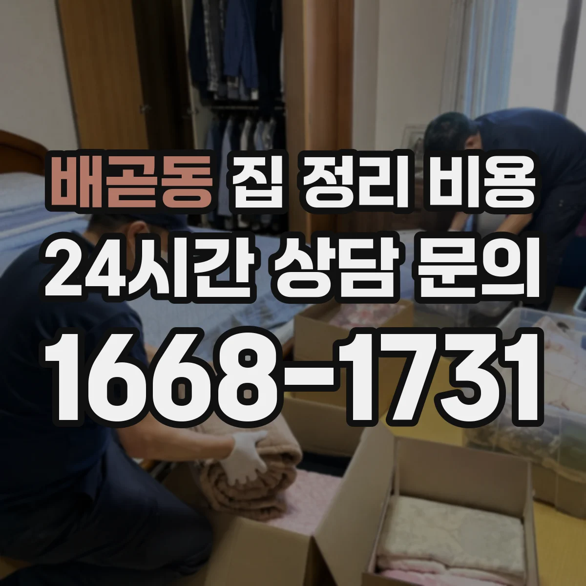 배곧동 집 정리 비용