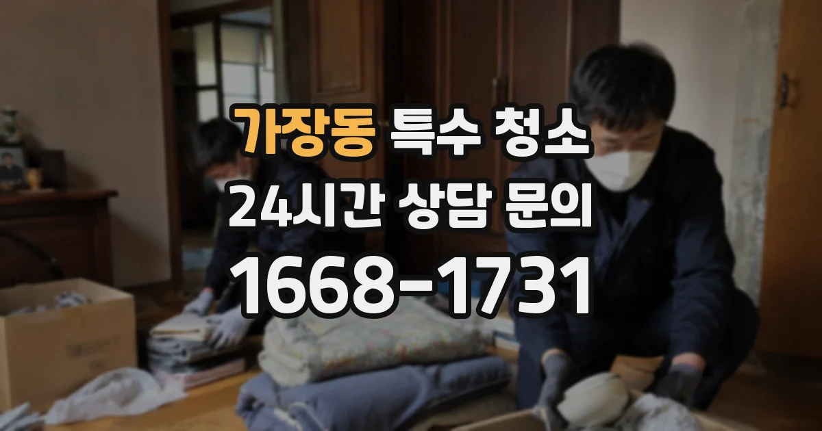 가장동 특수 청소