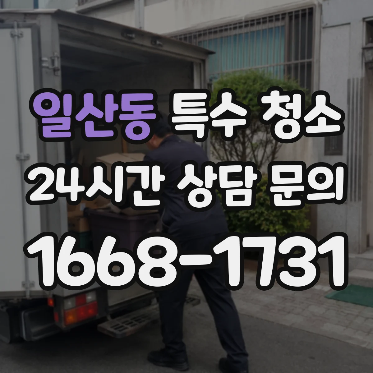 일산동 특수 청소