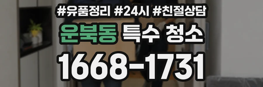 운북동 특수 청소