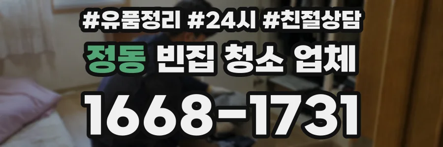 정동 빈집 청소 업체