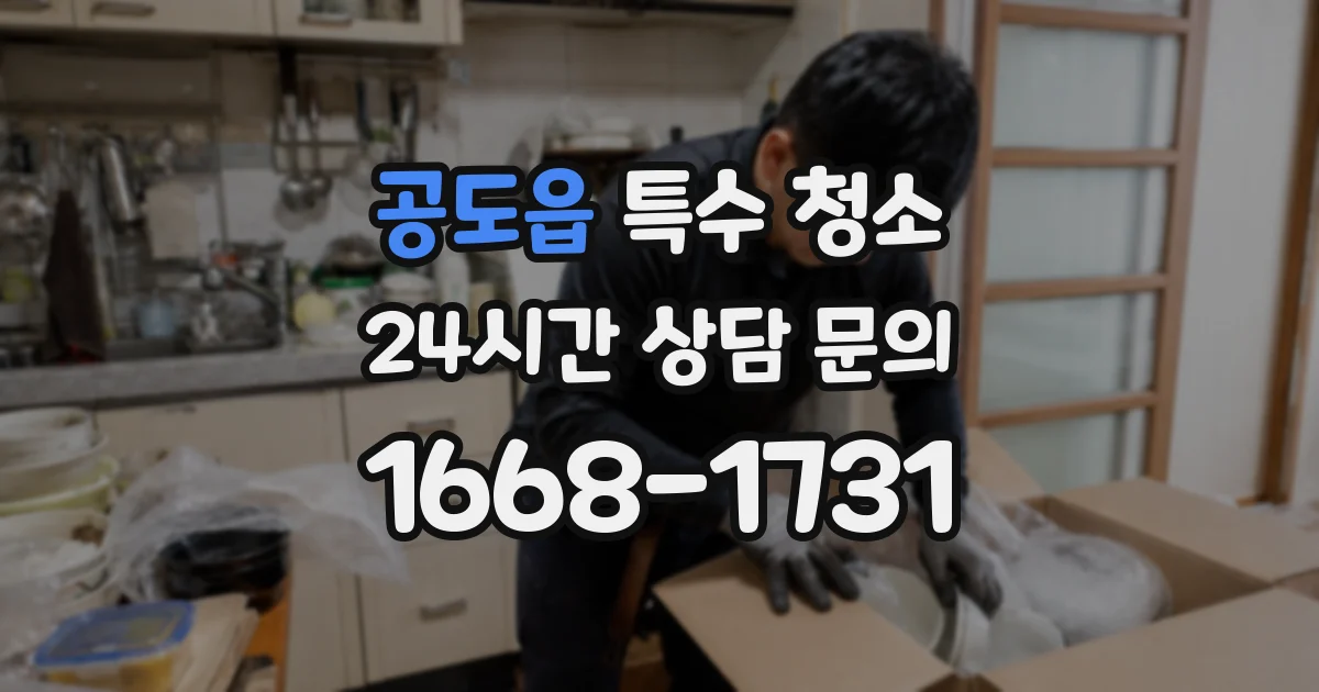 공도읍 특수 청소