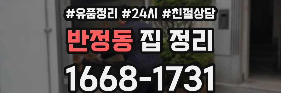 반정동 집 정리