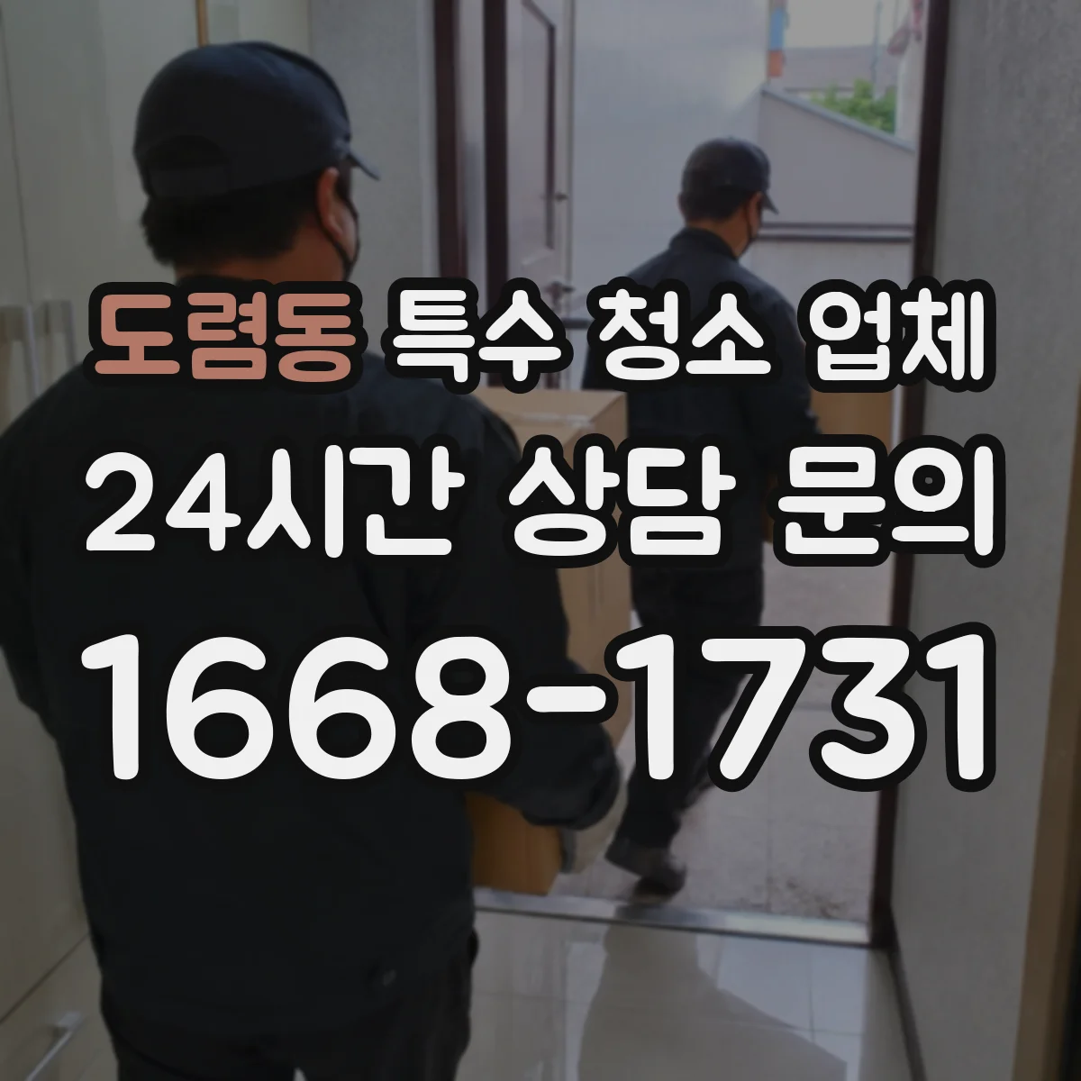 도렴동 특수 청소 업체