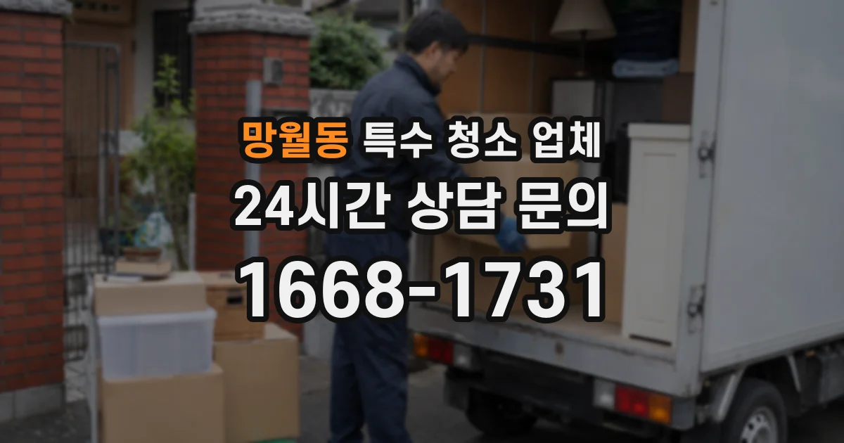 망월동 특수 청소 업체