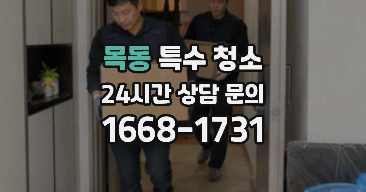 목동 특수 청소