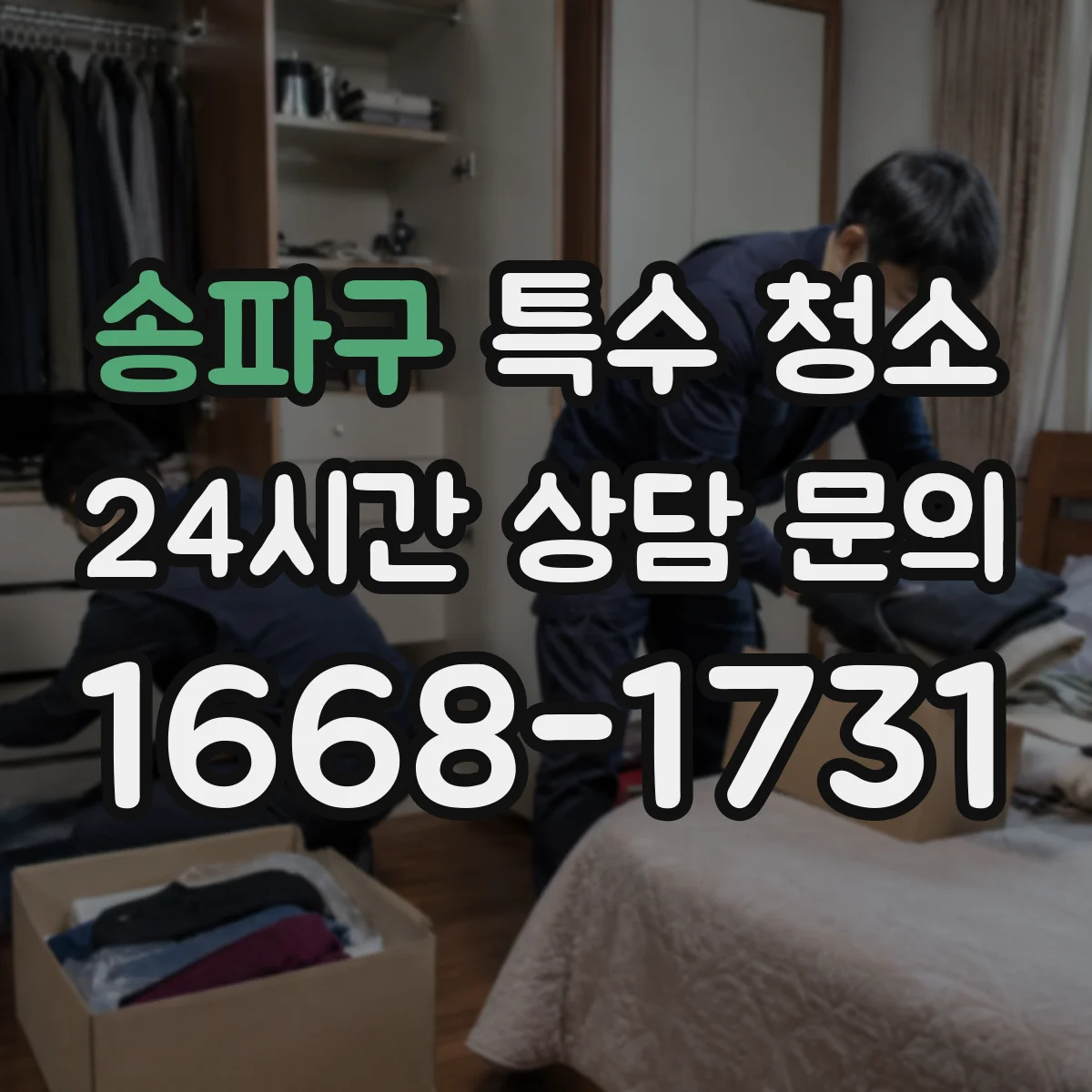 송파구 특수 청소