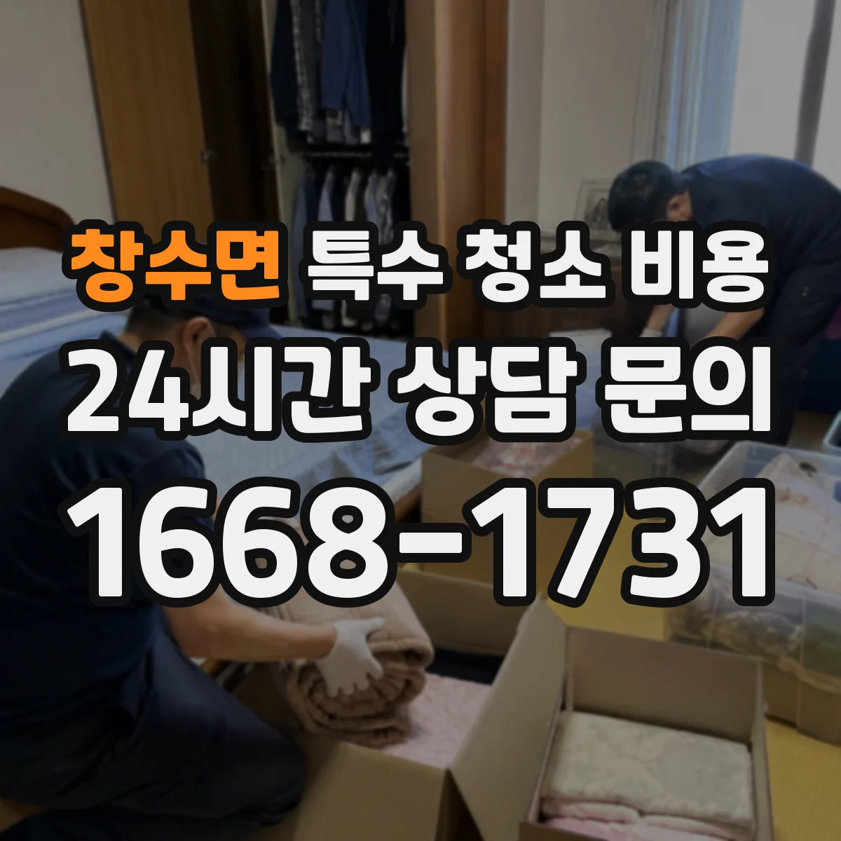 창수면 특수 청소 비용