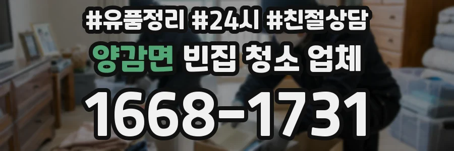양감면 빈집 청소 업체
