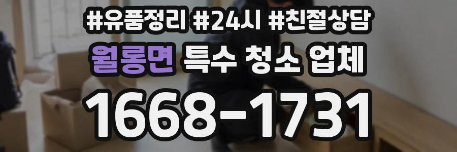 월롱면 특수 청소 업체