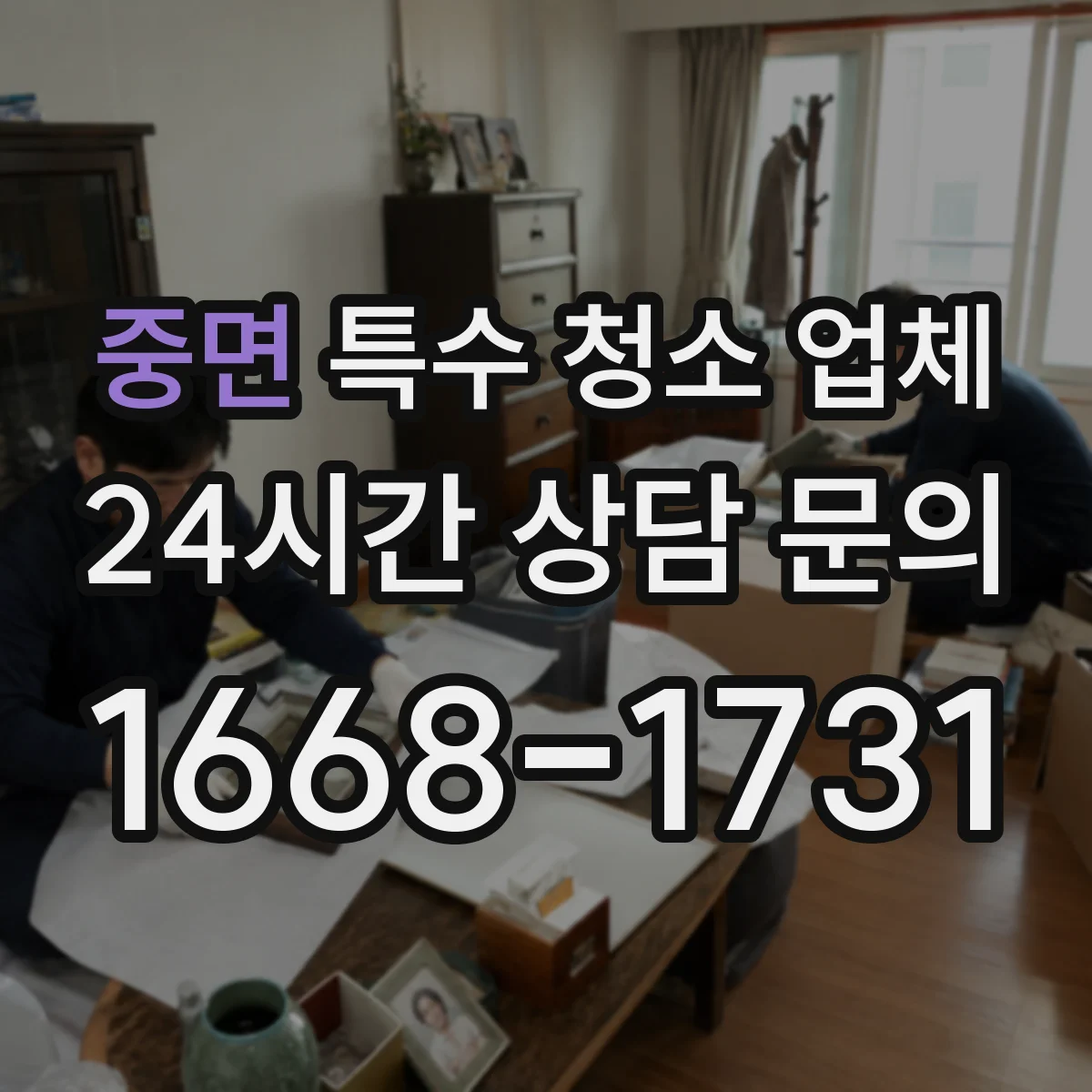 중면 특수 청소 업체