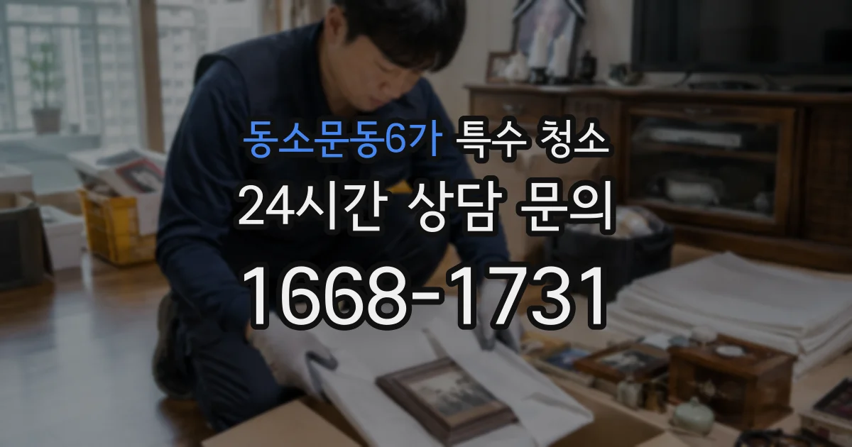동소문동6가 특수 청소
