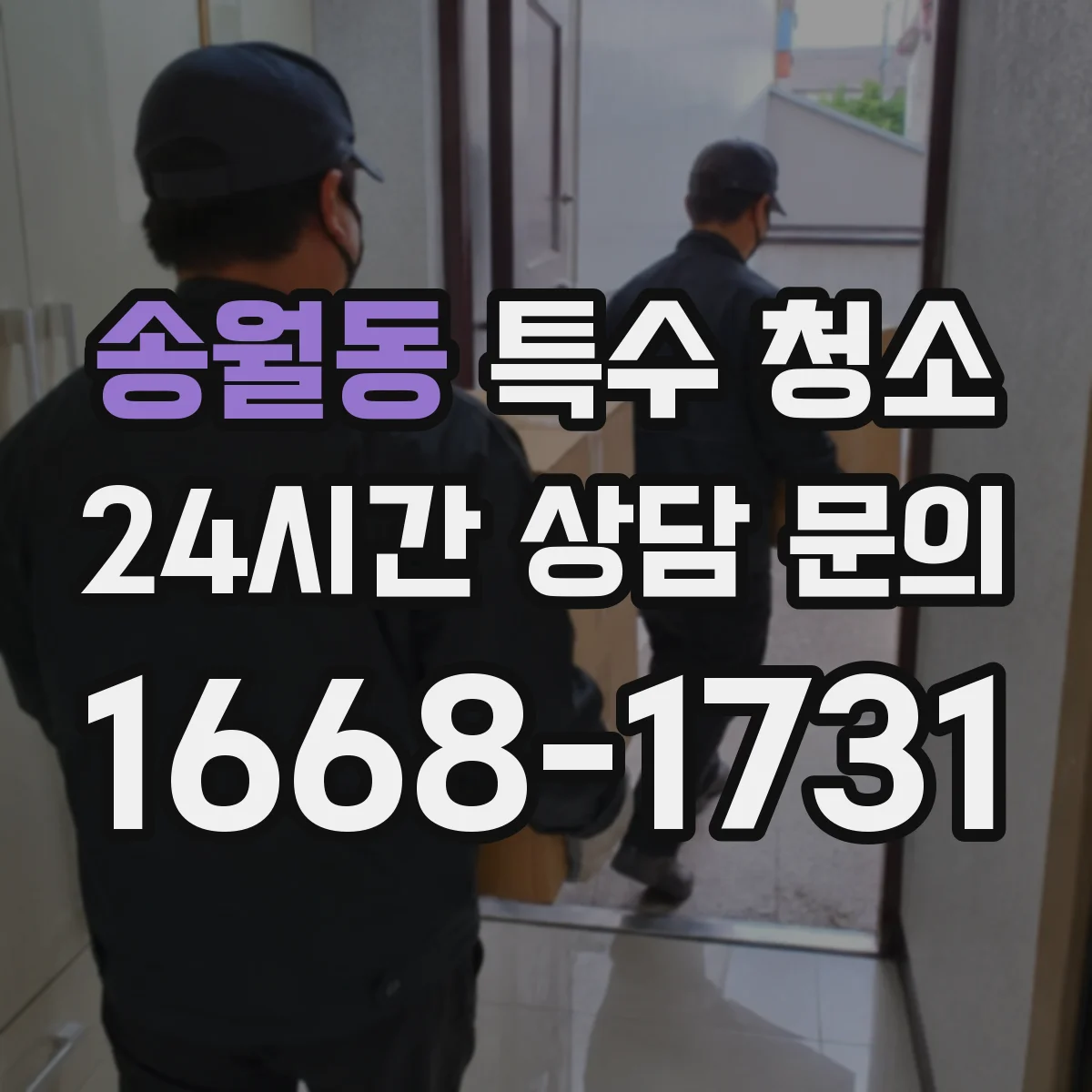 송월동 특수 청소
