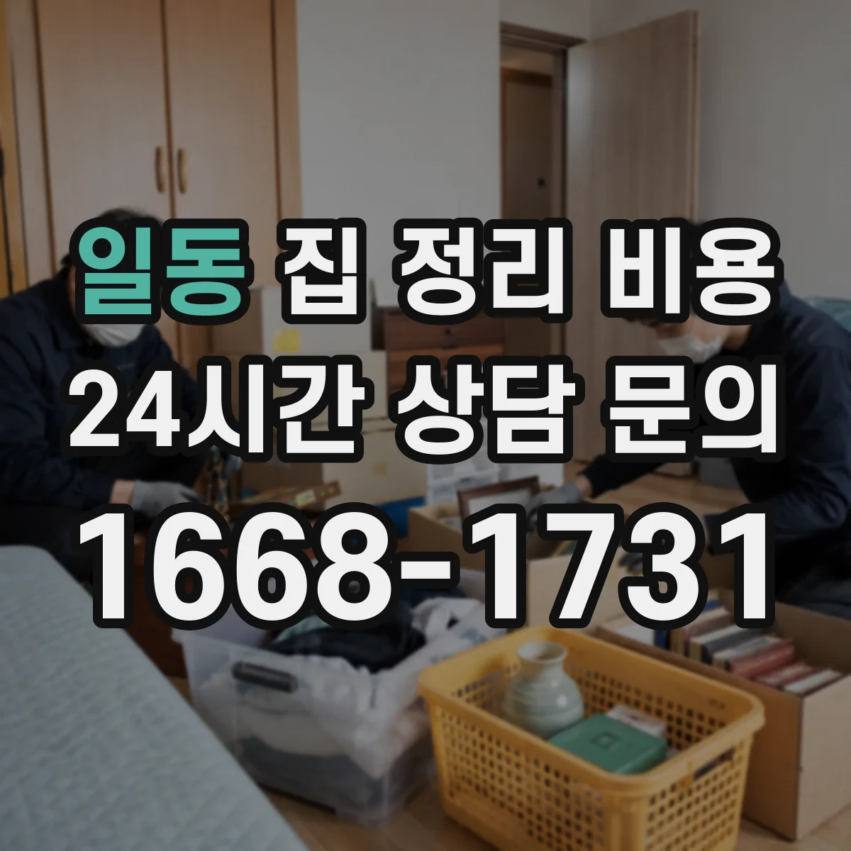 일동 집 정리 비용