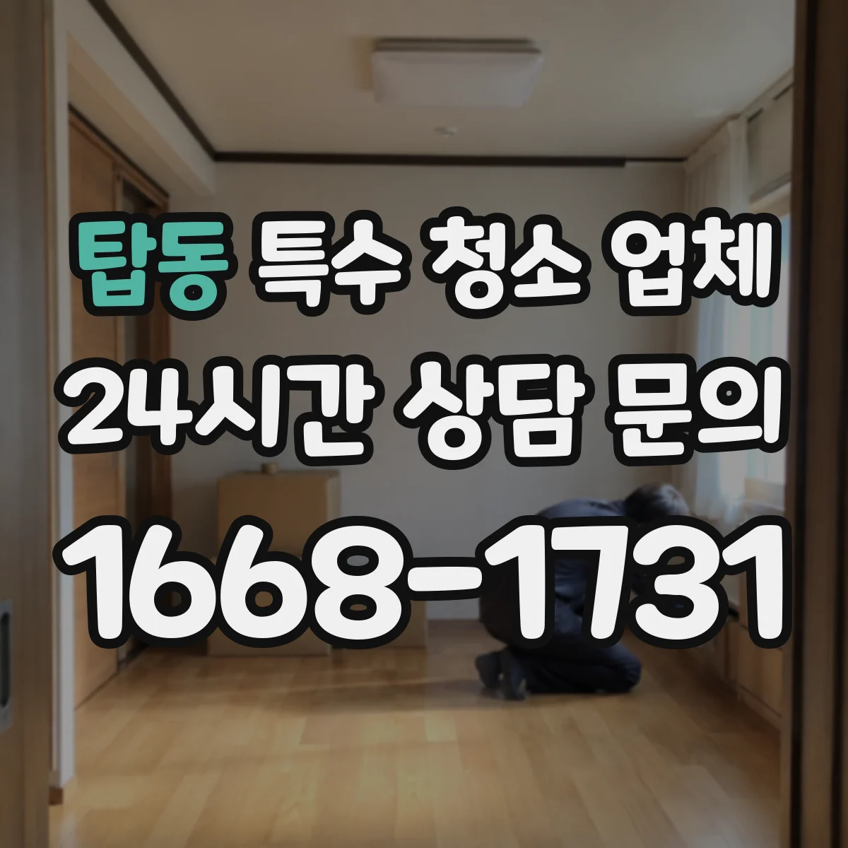 탑동 특수 청소 업체