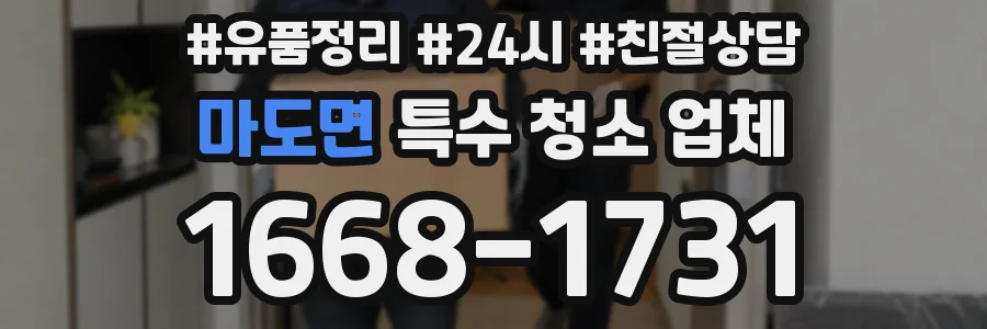 마도면 특수 청소 업체