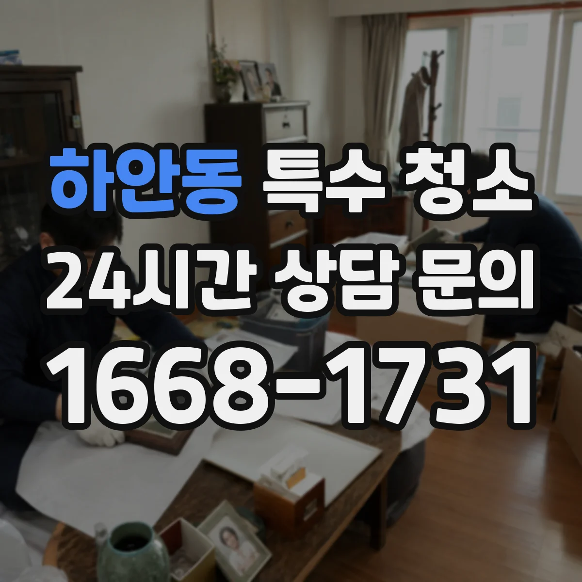 하안동 특수 청소