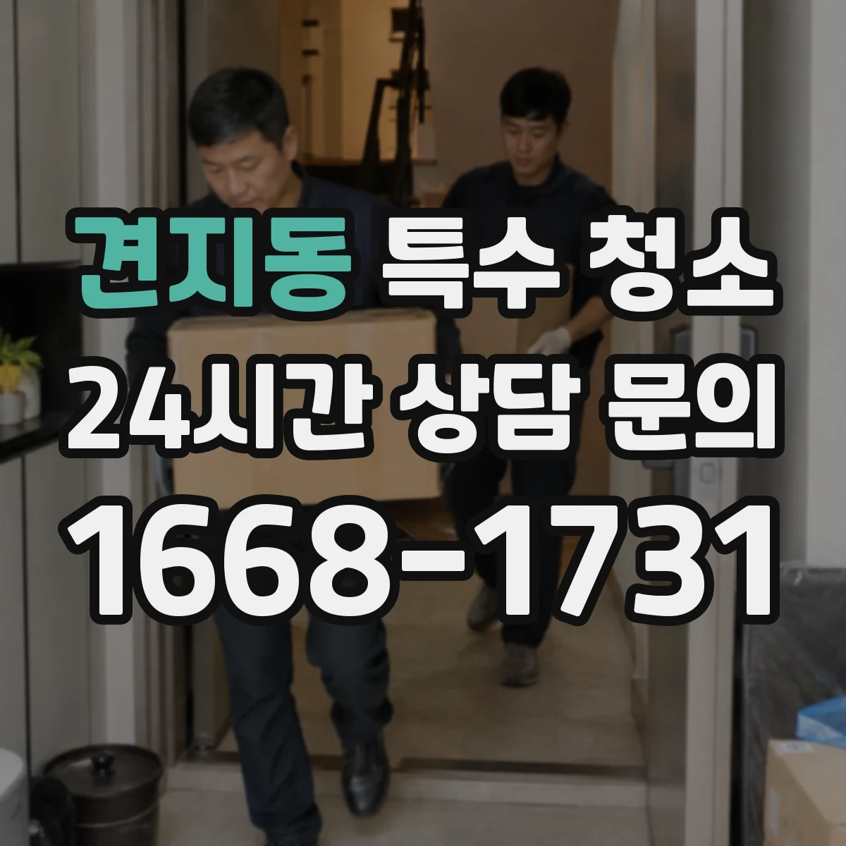 견지동 특수 청소