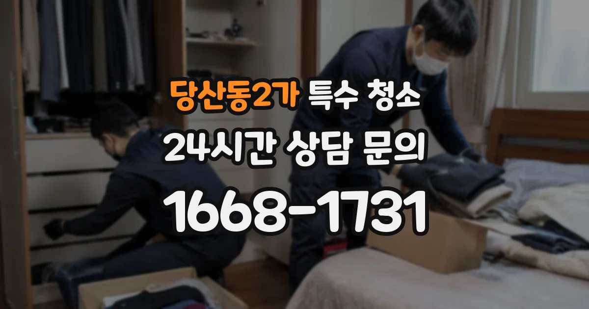 당산동2가 특수 청소