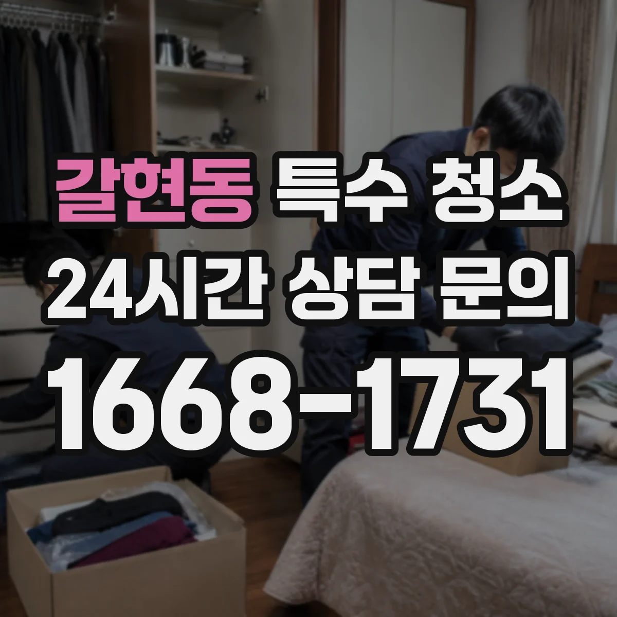 갈현동 특수 청소