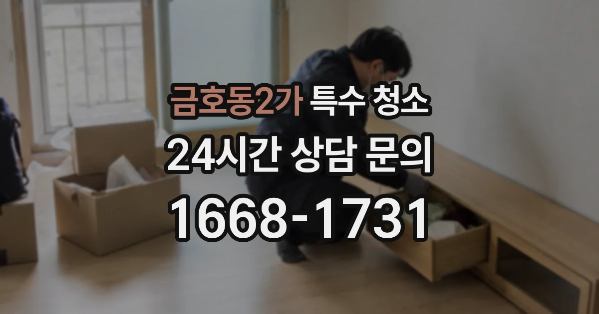 금호동2가 특수 청소