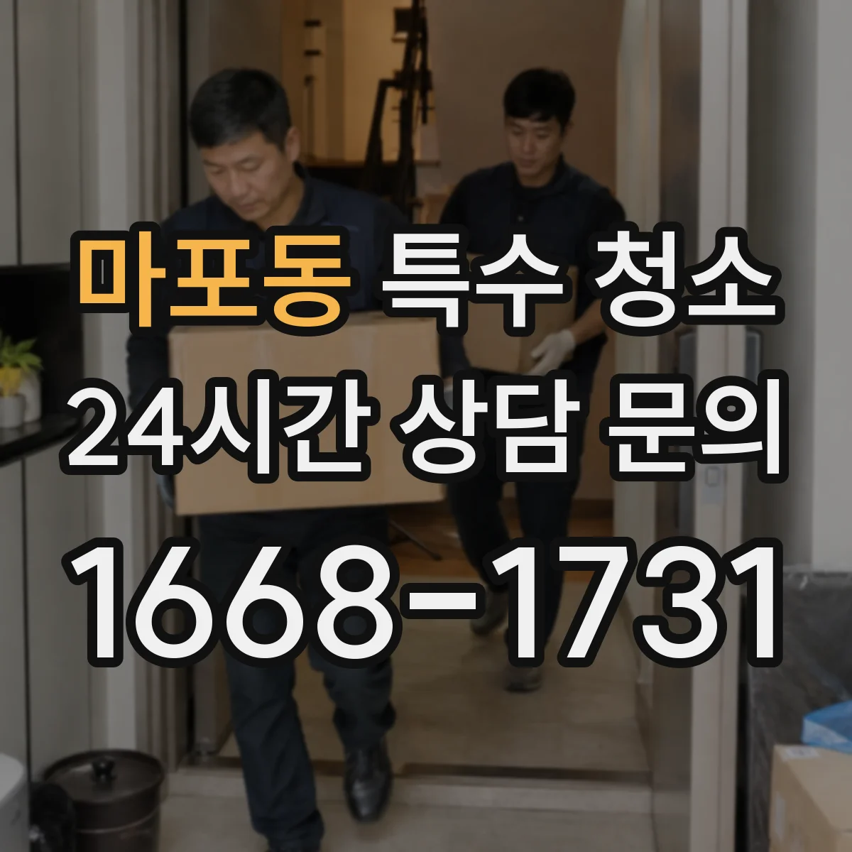 마포동 특수 청소
