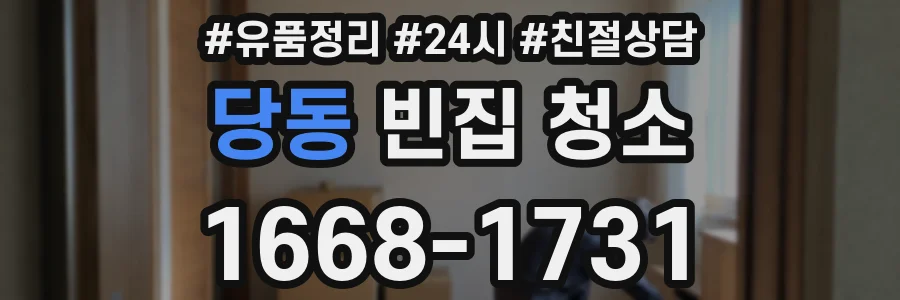 당동 빈집 청소