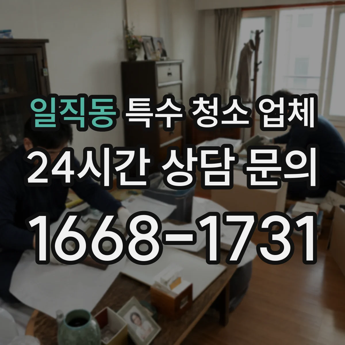 일직동 특수 청소 업체