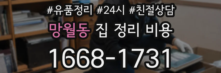 망월동 집 정리 비용
