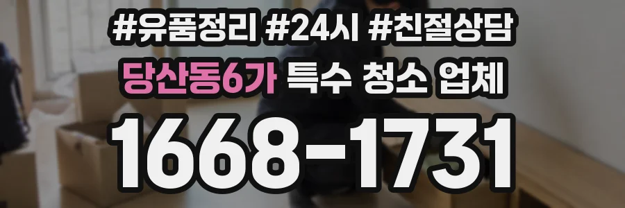 당산동6가 특수 청소 업체