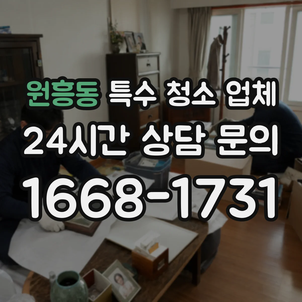 원흥동 특수 청소 업체