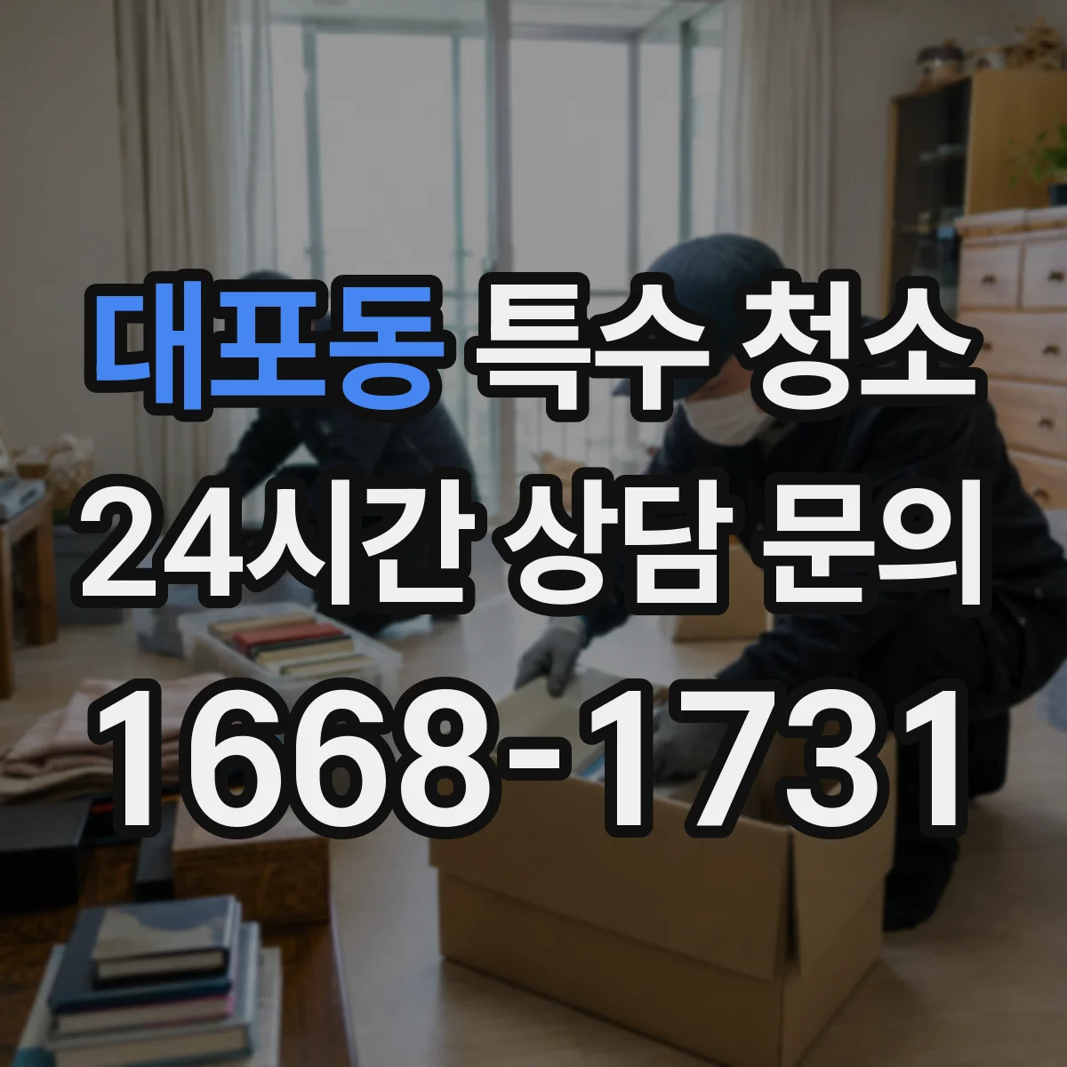 대포동 특수 청소