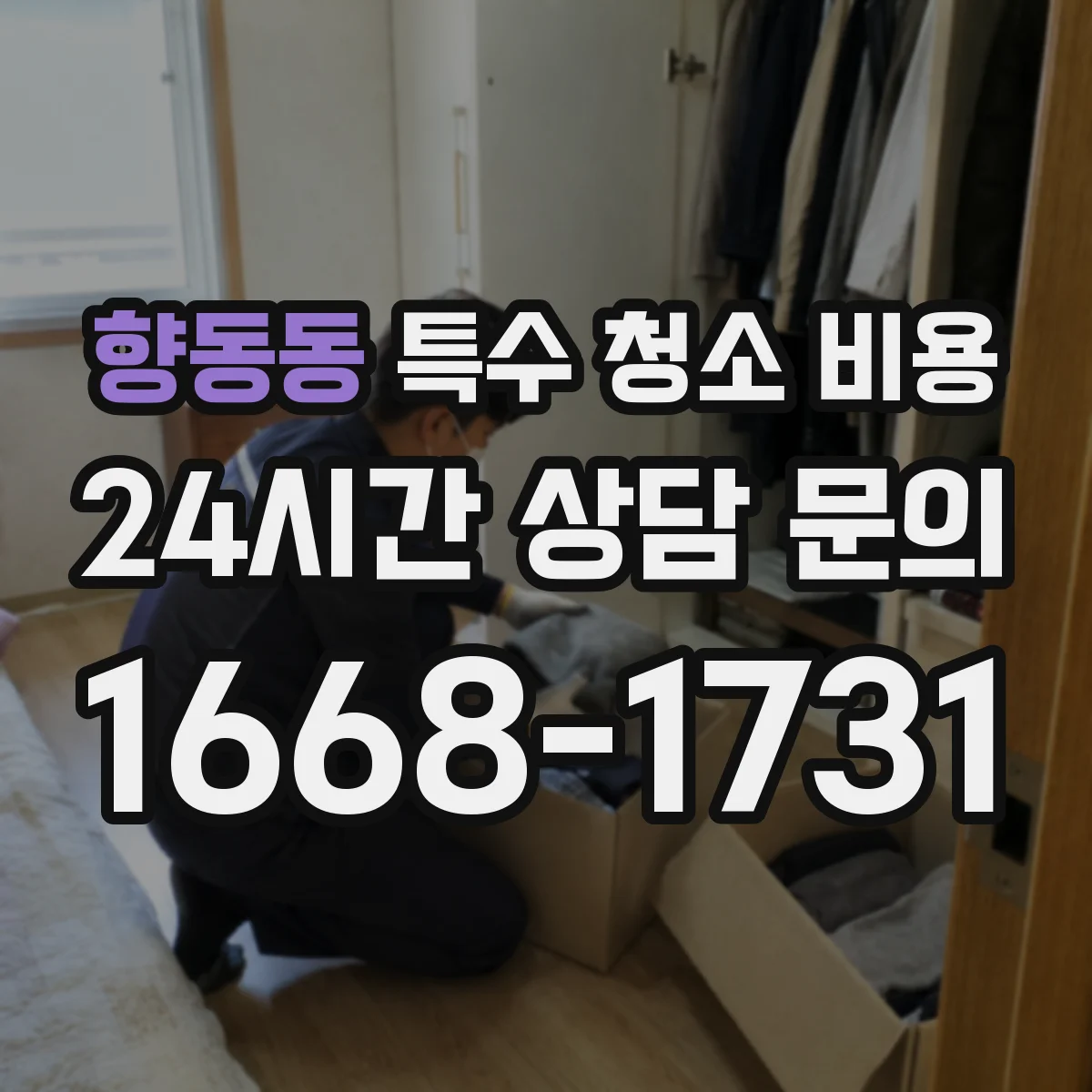 향동동 특수 청소 비용