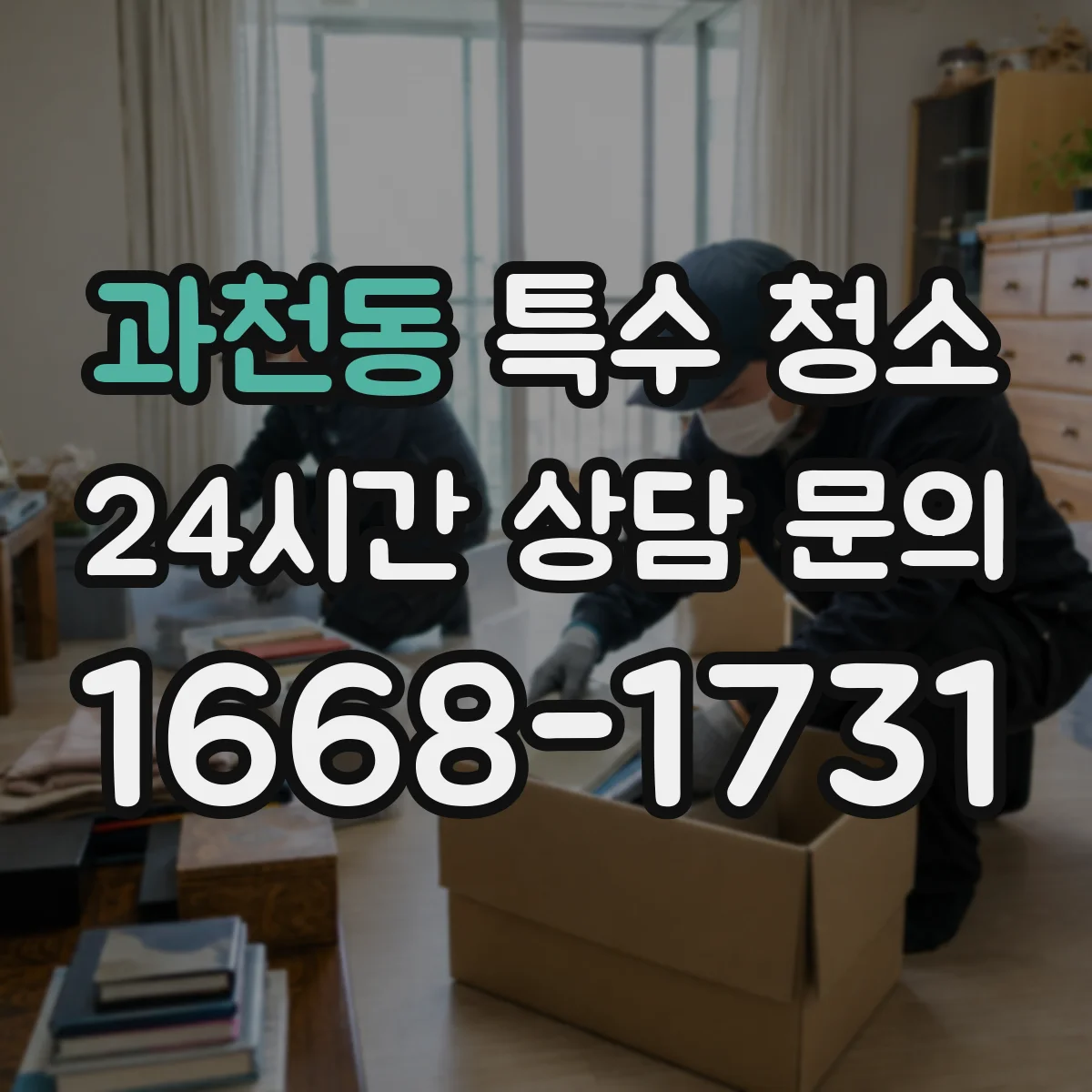 과천동 특수 청소