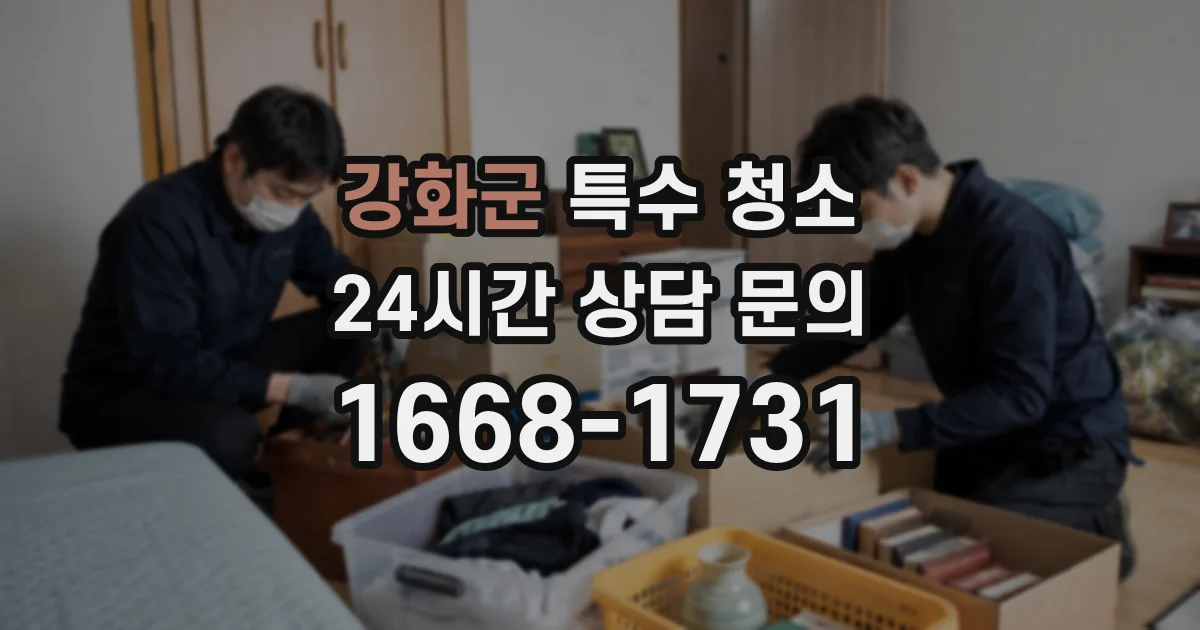 강화군 특수 청소