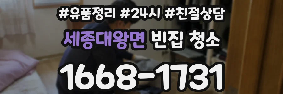 세종대왕면 빈집 청소