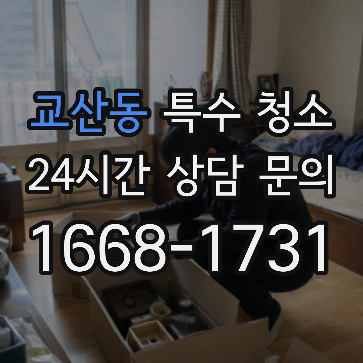 교산동 특수 청소