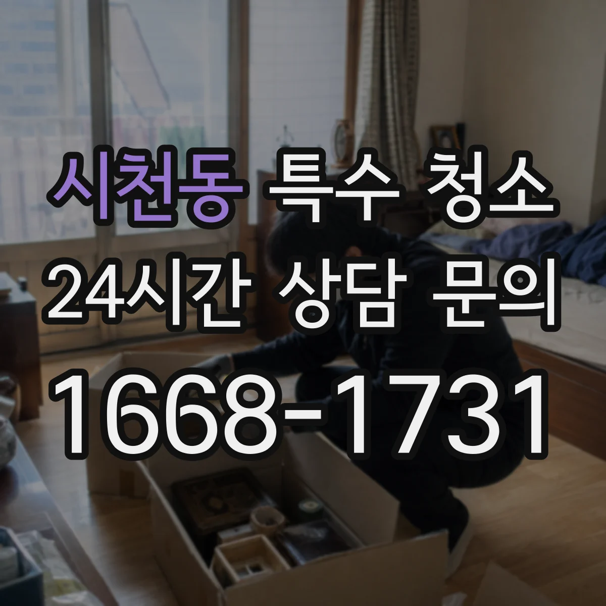 시천동 특수 청소