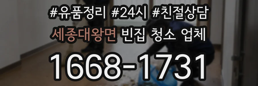 세종대왕면 빈집 청소 업체