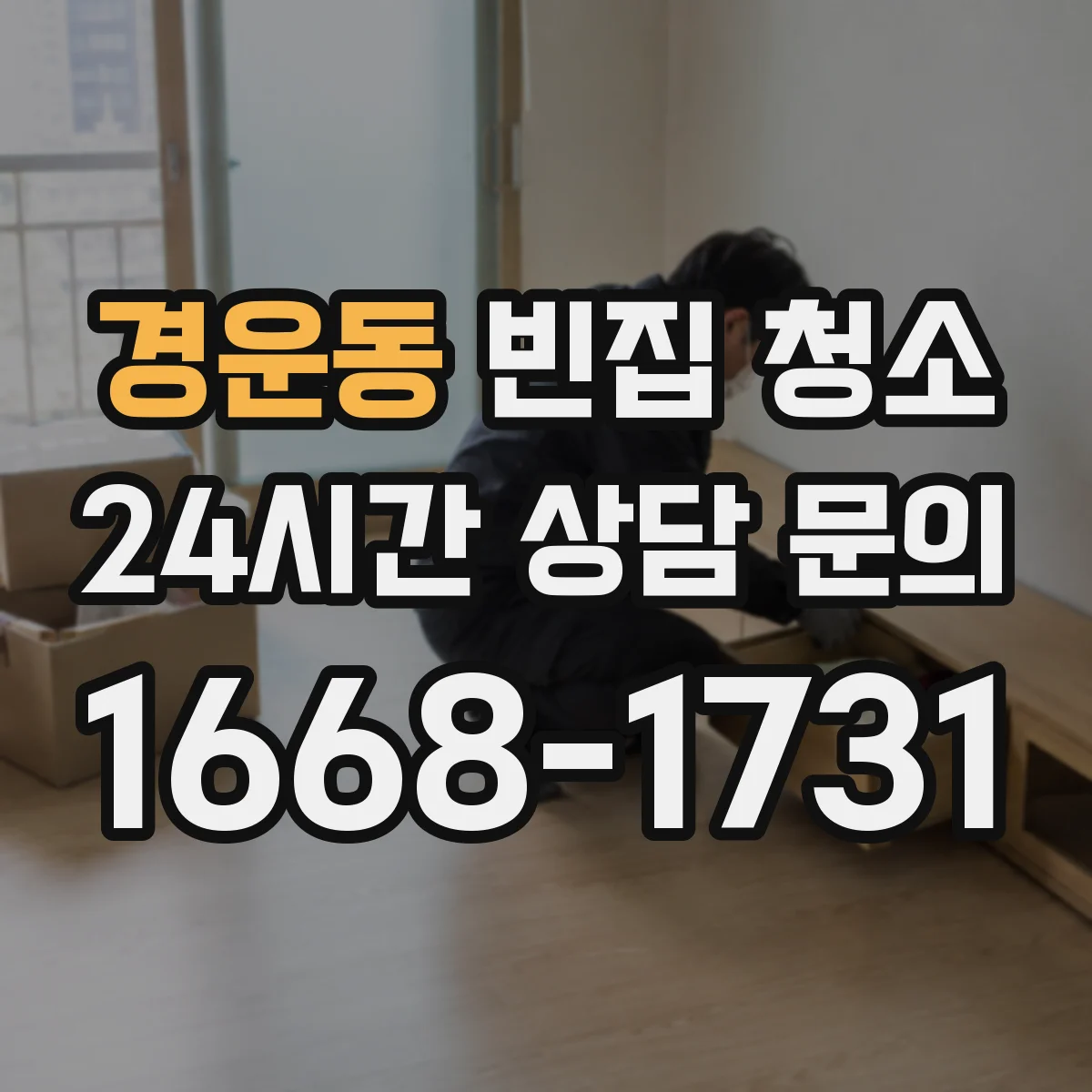 경운동 빈집 청소 해충 배설물·알 흔적 처리 방법