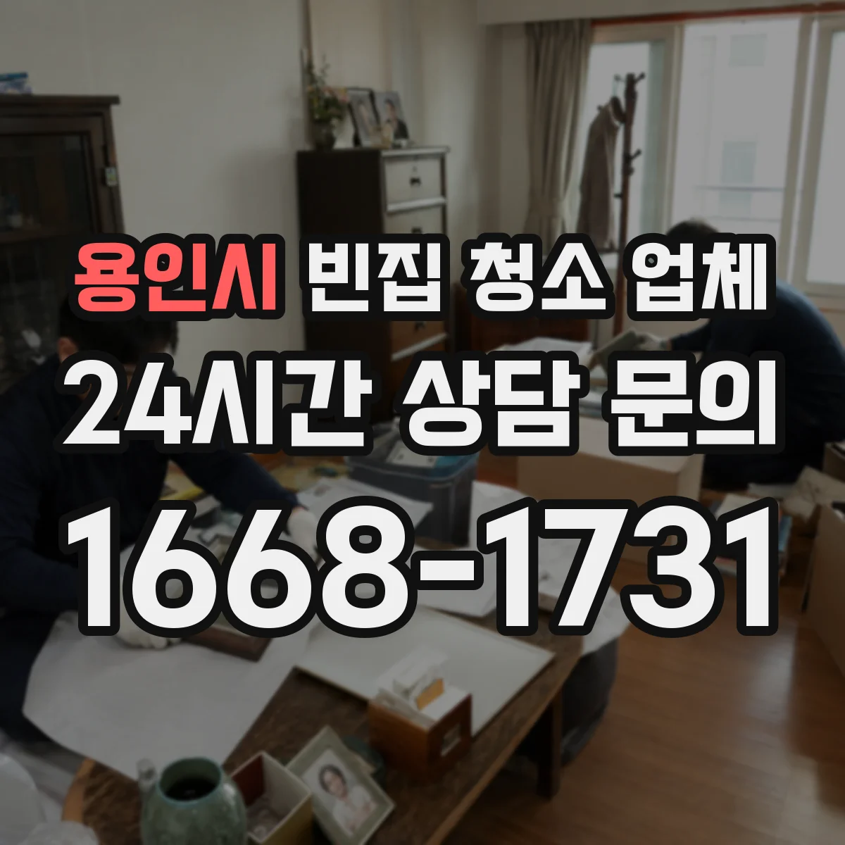 용인시 빈집 청소 업체 곰팡이 재발 방지용 코팅 재료 차이