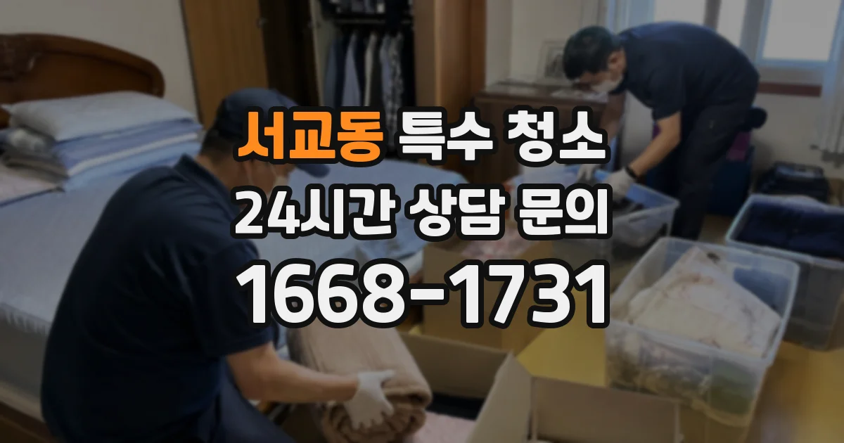 서교동 특수 청소