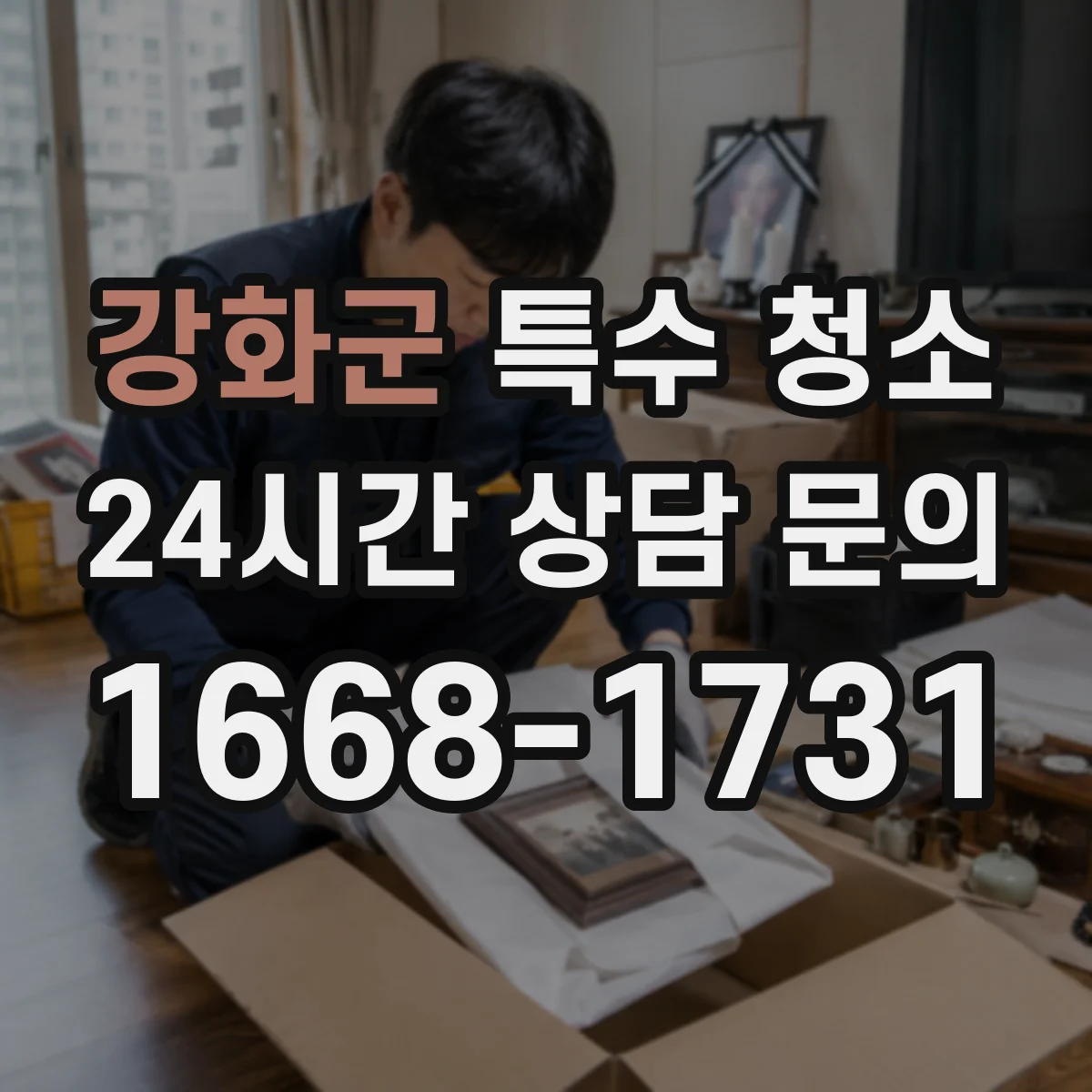 강화군 특수 청소