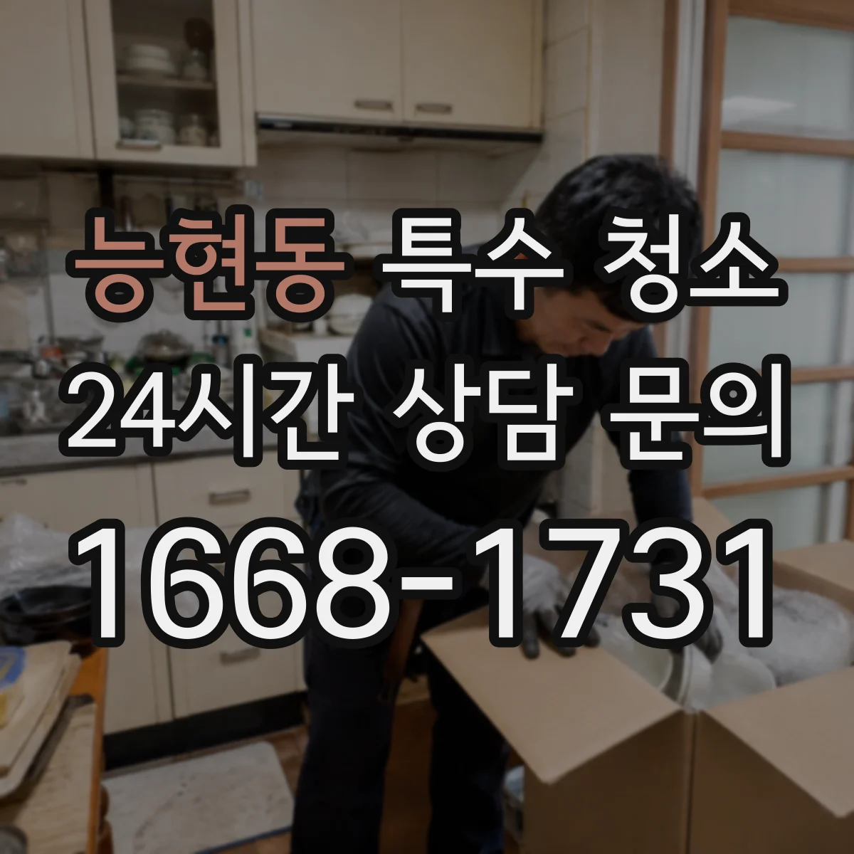 능현동 특수 청소
